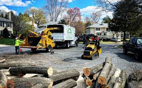 Best Tree Mulching  in Tladega, AL
